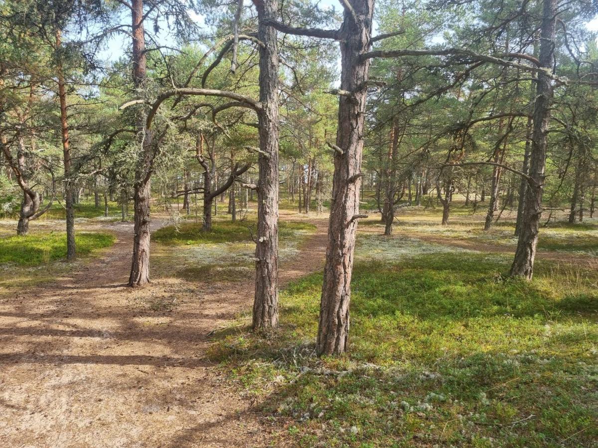 Norwegian Saunahouse Haapse Esterno foto