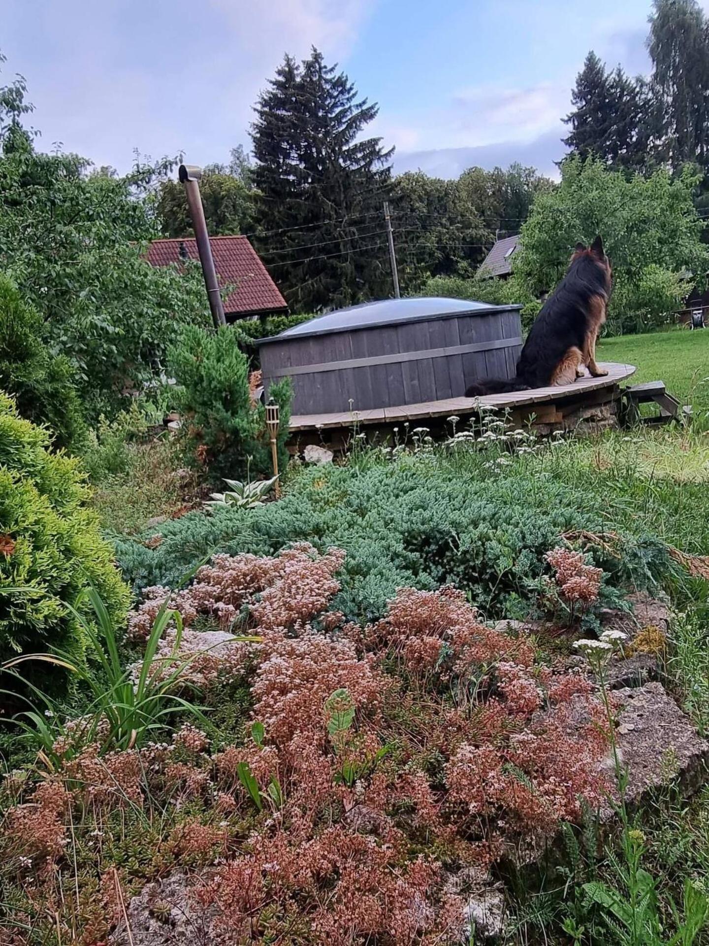 Norwegian Saunahouse Haapse Esterno foto
