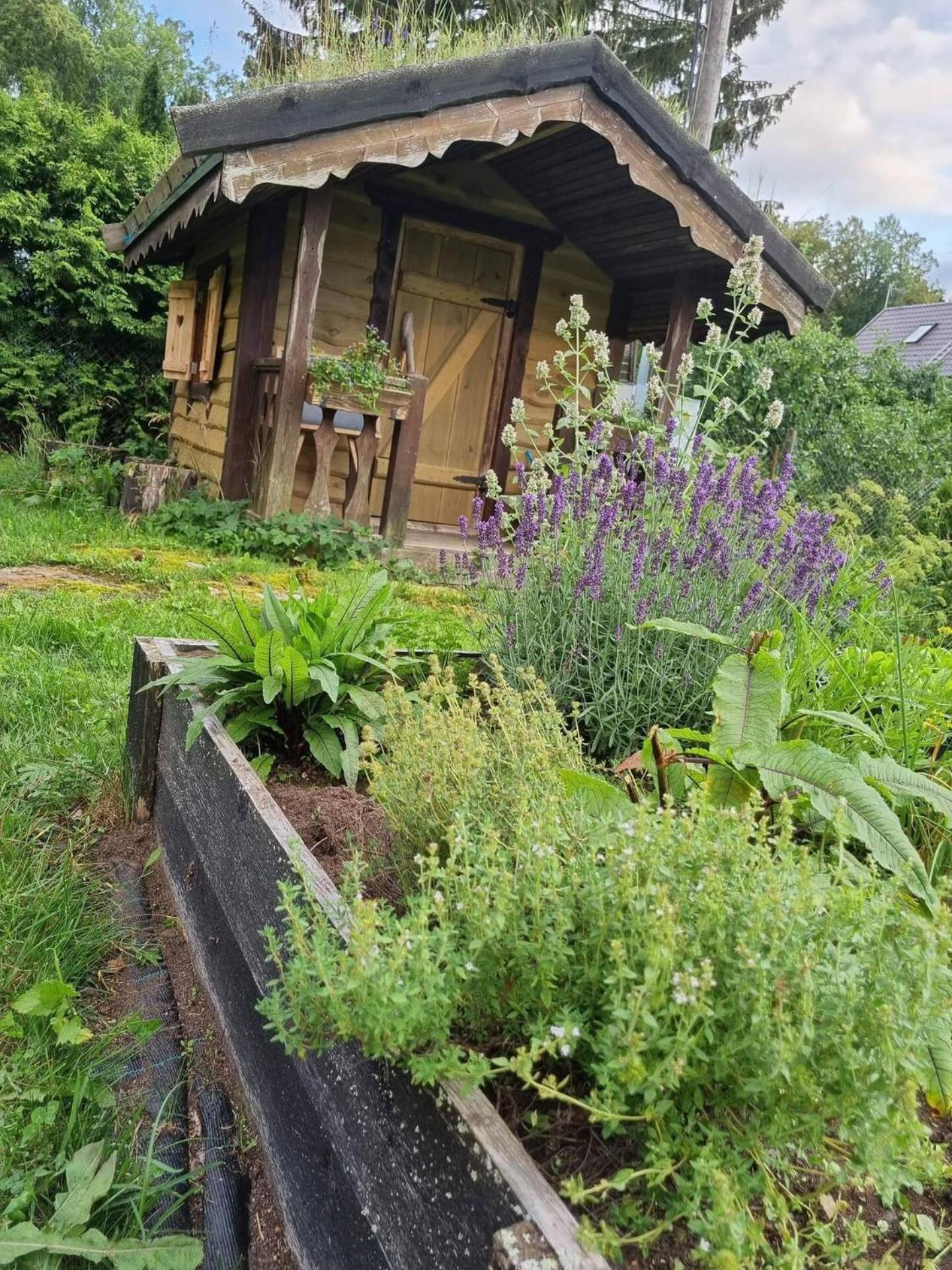 Norwegian Saunahouse Haapse Esterno foto