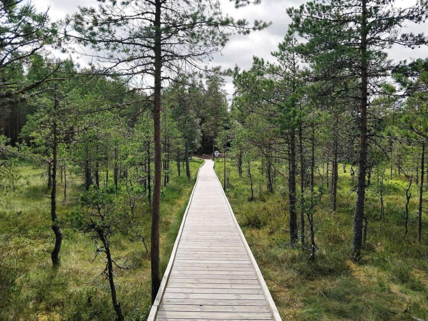 Norwegian Saunahouse Haapse Esterno foto